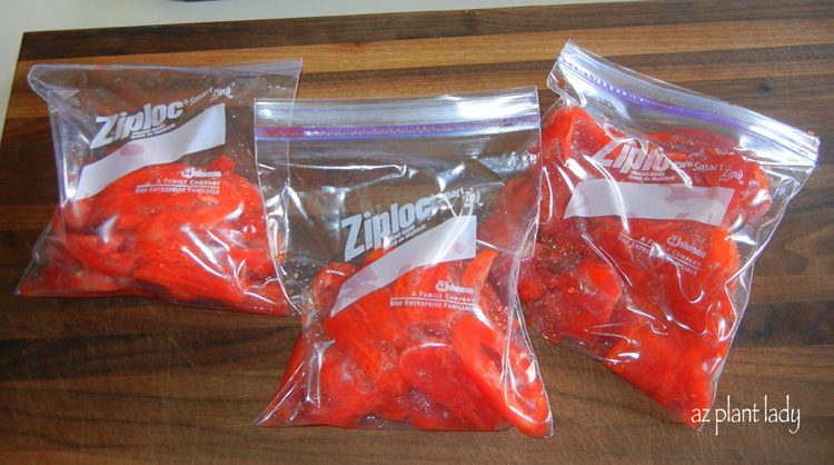 freezing fresh tomatoes