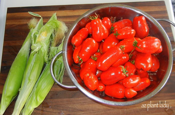 freezing fresh tomatoes
