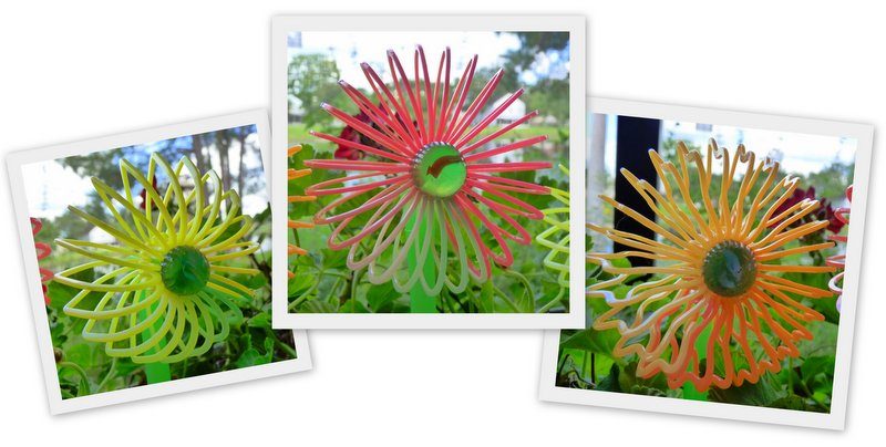 Slinky Flowers by Jill Staake