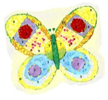 butterfly garden design