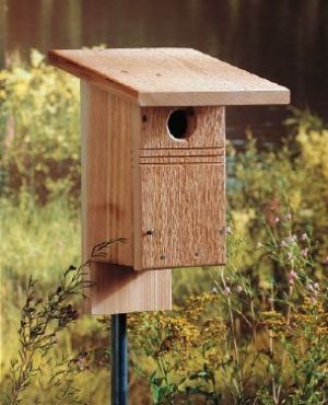 diy bluebird house