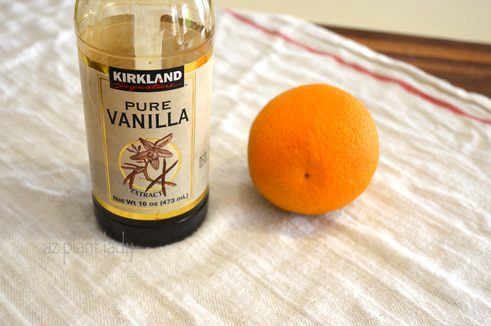 DIY Natural Air Freshener