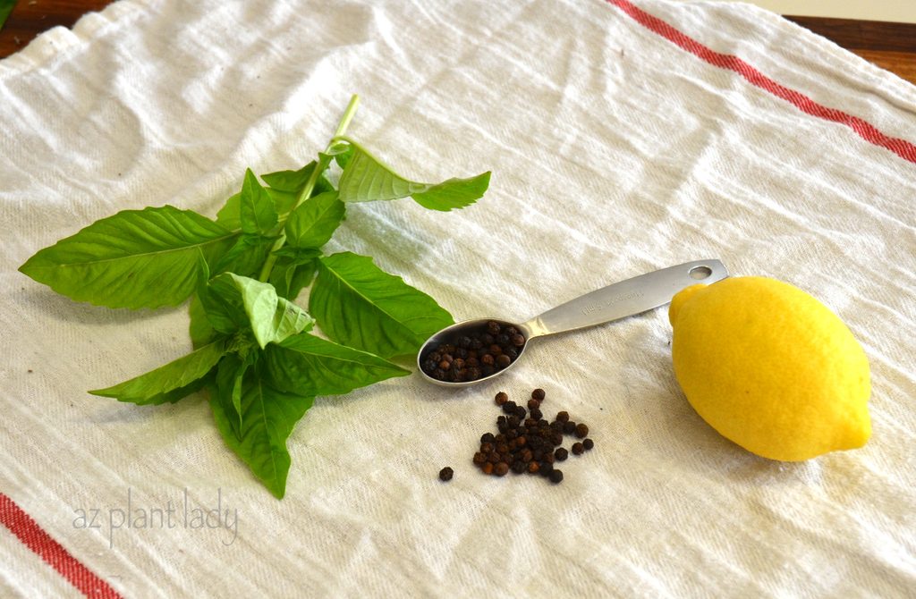 DIY Natural Air Freshener