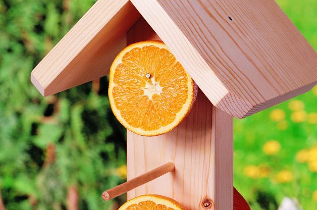 Easy DIY Oriole Feeder