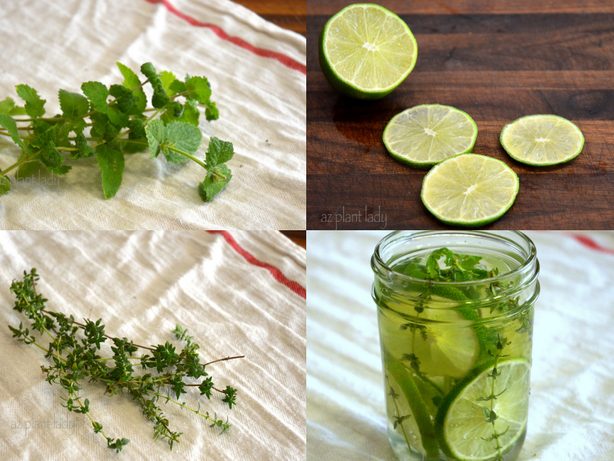 DIY Natural Air Freshener