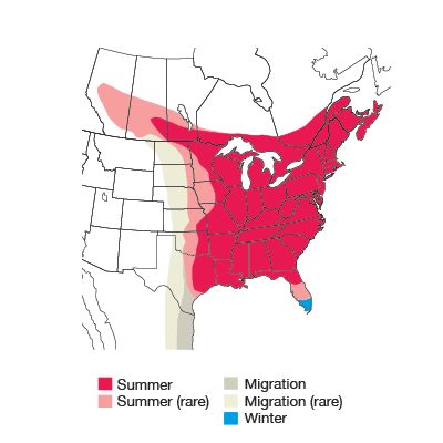 Ruby-throated Hummingbird Bird Species