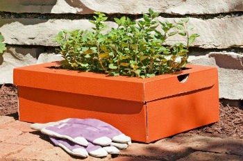 Shoebox Garden