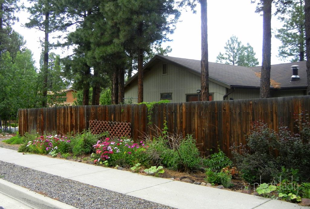 Perennial planting fence