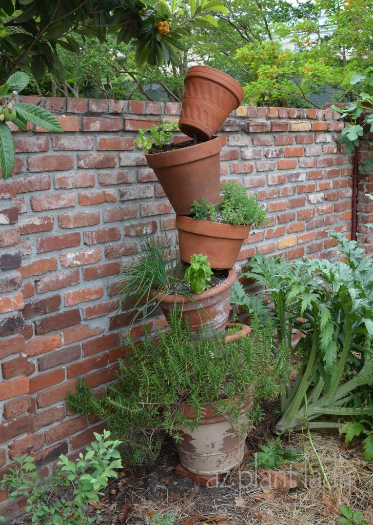 Container Herbs