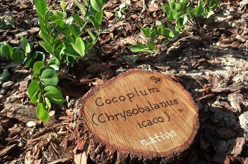 DIY Garden Signs