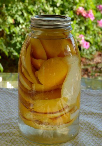 grapefruit peels in vinegar