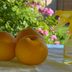 DIY Project: All-Natural Homemade Citrus Cleaner