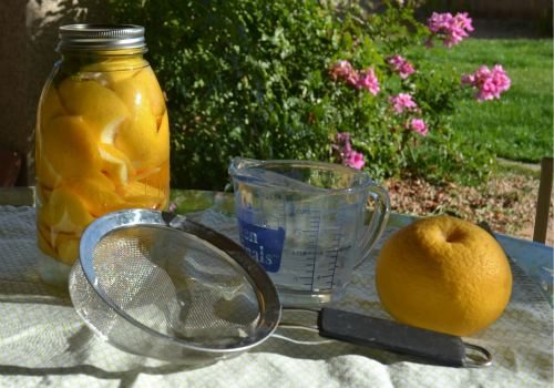 grapefruit_cleaner_diy