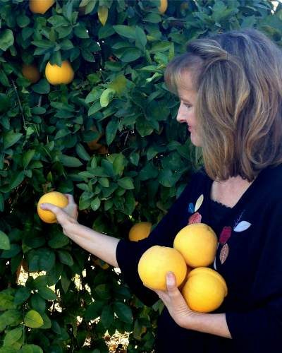 harvest_grapefruit_azplantlady_noelle_johnson