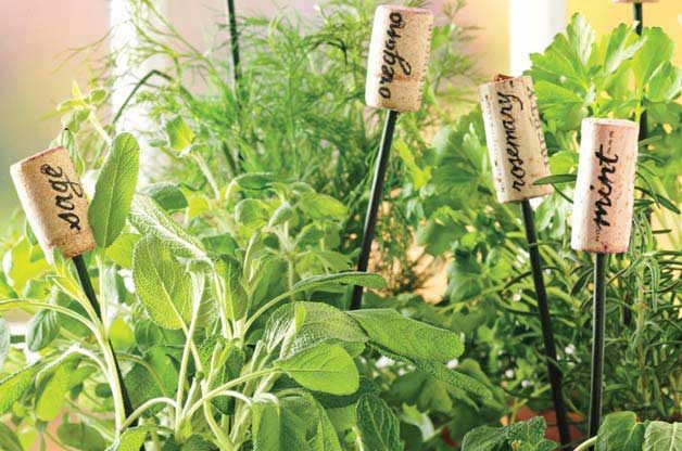 Garden DIY Herb Markers