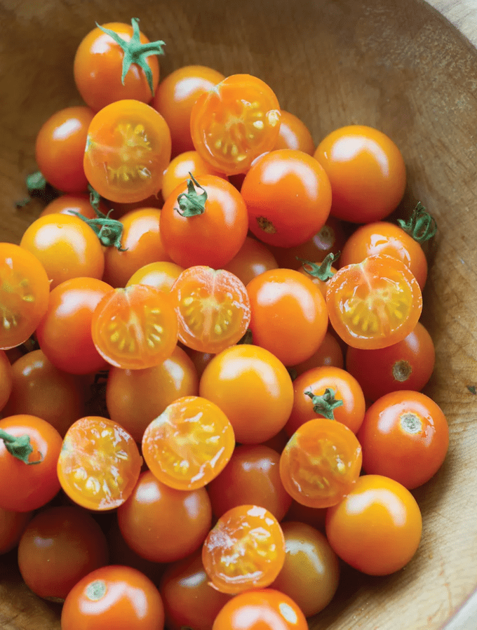 sungold tomato