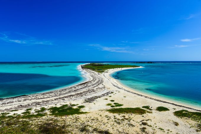 dry tortugas national park