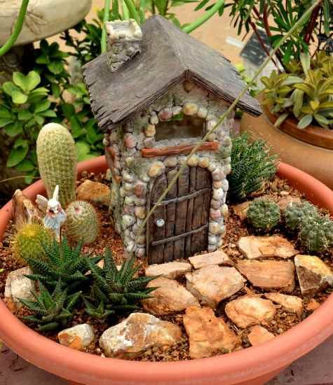 succulent fairy garden house