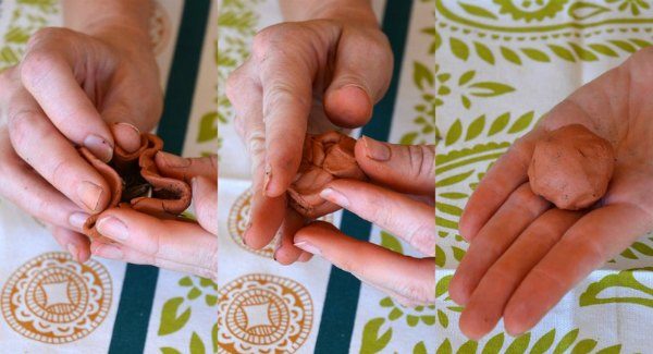 Steps to make seed balls