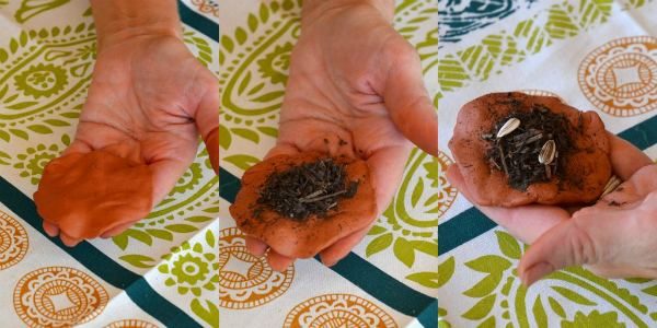 Steps to making seed bombs