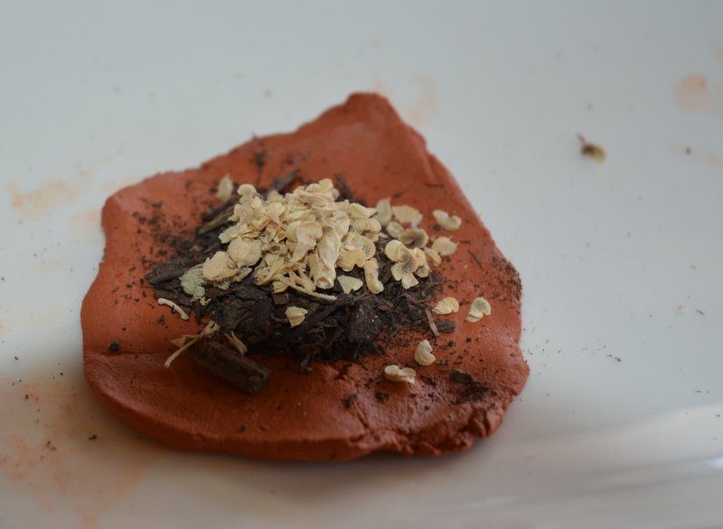 wildflower seed ball