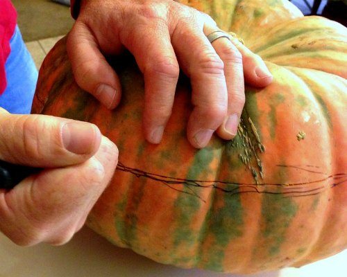 pumpkin bird feeder