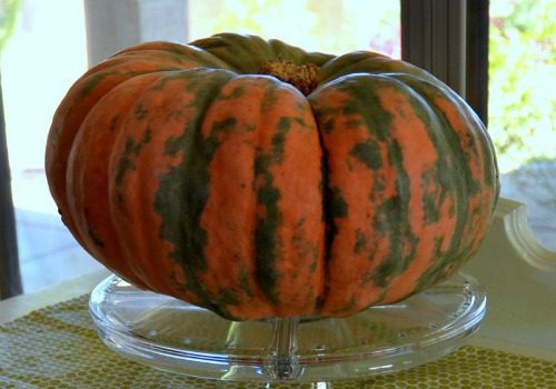 heirloom pumpkin