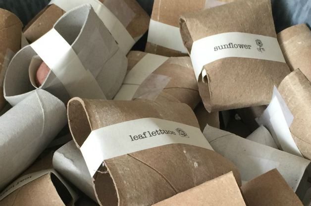 diy seed bombs