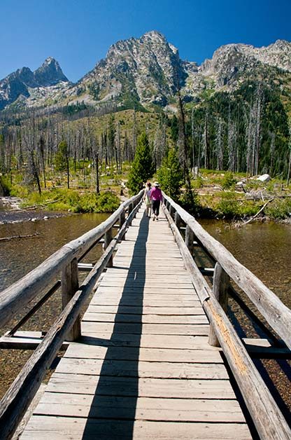 Birding Sites: Grand Teton