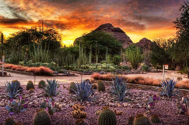 The "Birdiest" Botanical Gardens