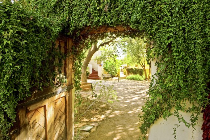 The "Birdiest" Botanical Gardens