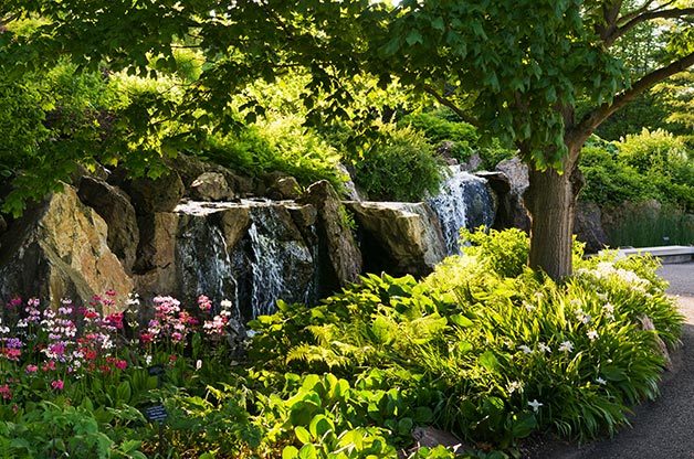The "Birdiest" Botanical Gardens