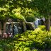 The Best Botanical Gardens for Bird-Watching