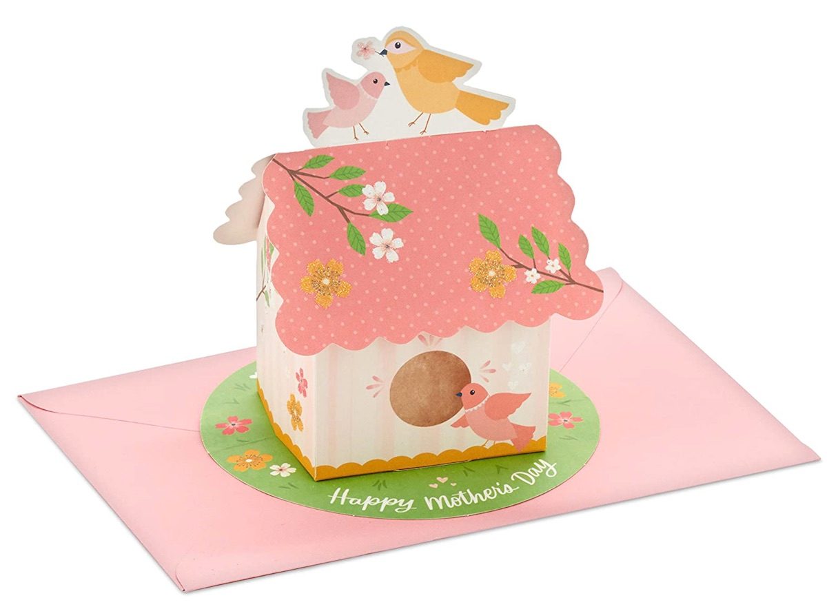 bird card
