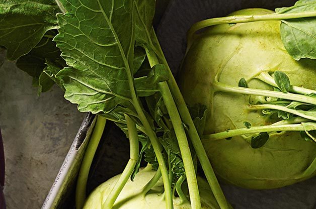 Top 10 Easy-to-Grow Veggies | Birds & Blooms