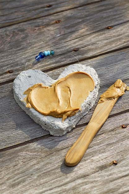 Recycled Paper Heart DIY Bird Feeder | Birds & Blooms Magazine