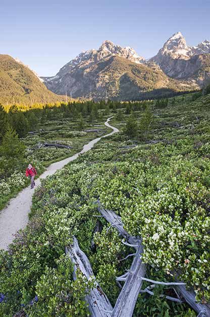 Coast to Coast Birding Hot Spots by Season | Birding | Birds & Blooms Magazine