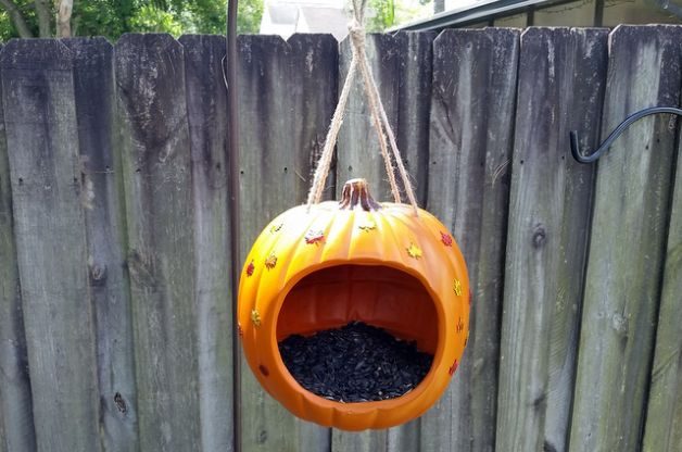 pumpkin-bird-feeder