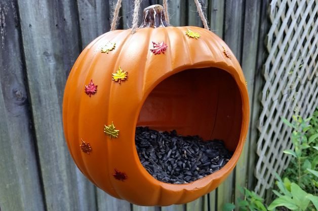 pumpkin-bird-feeder