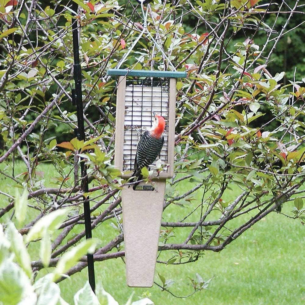 suet feeder