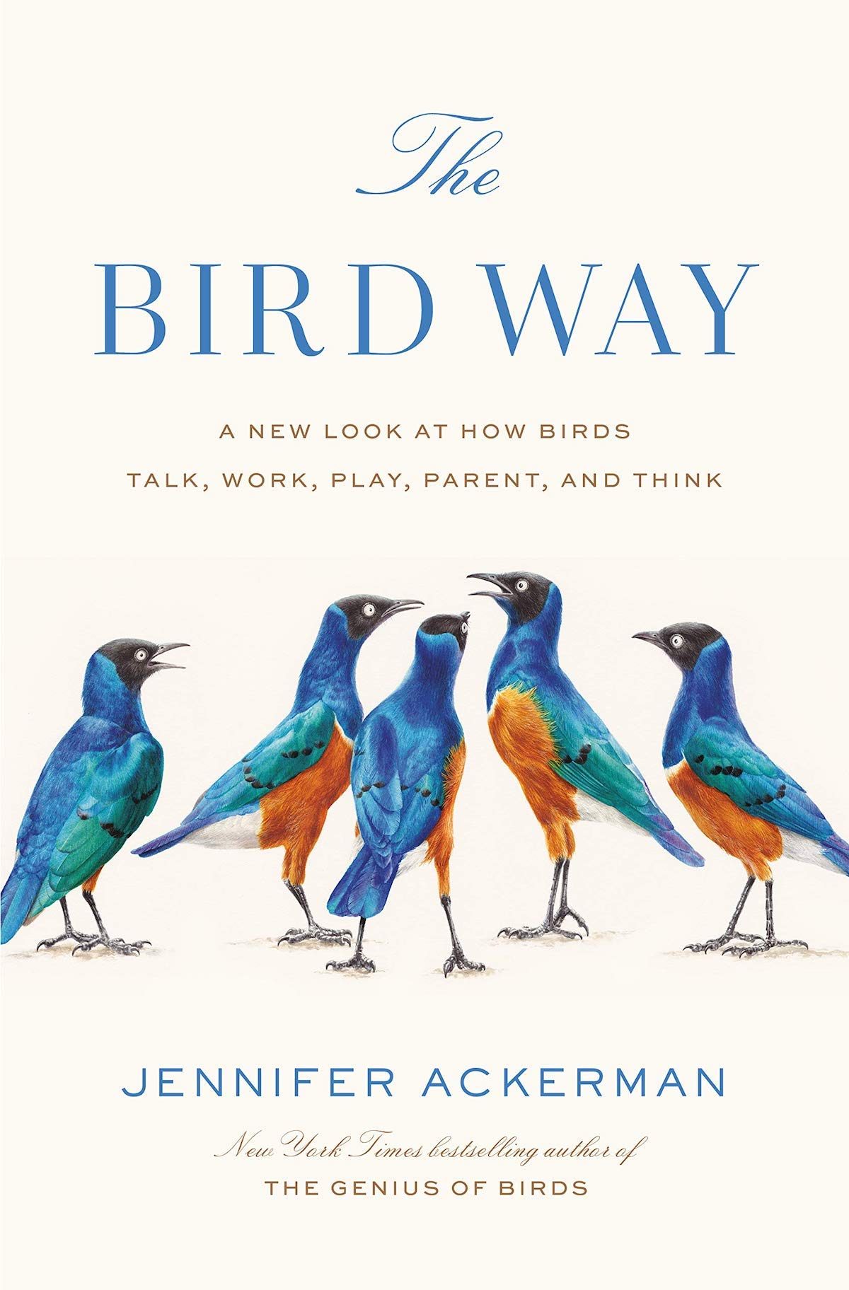 The Bird Way book