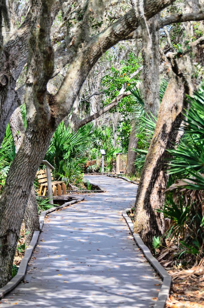 Merritt Island Florida birding trip