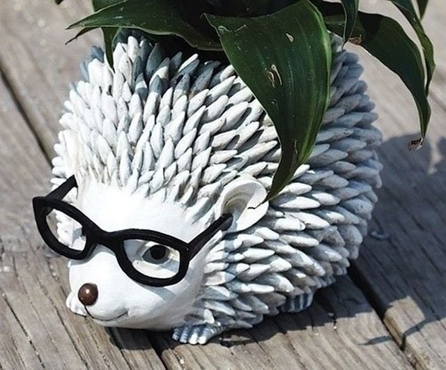 Mini Planters Hedgehog