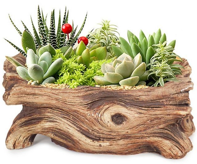 Mini Planters Wood Log