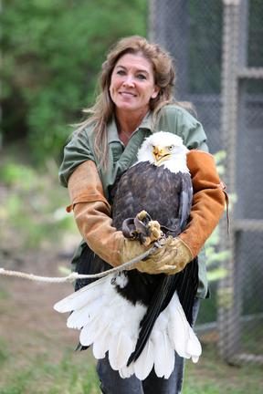 Janie Veltkamp Glen Hush Bald Eagle