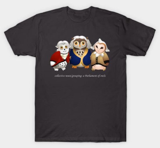 Owl Shirts Tee Public Parliament