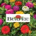 12 Places to Buy Plants and Seeds Online