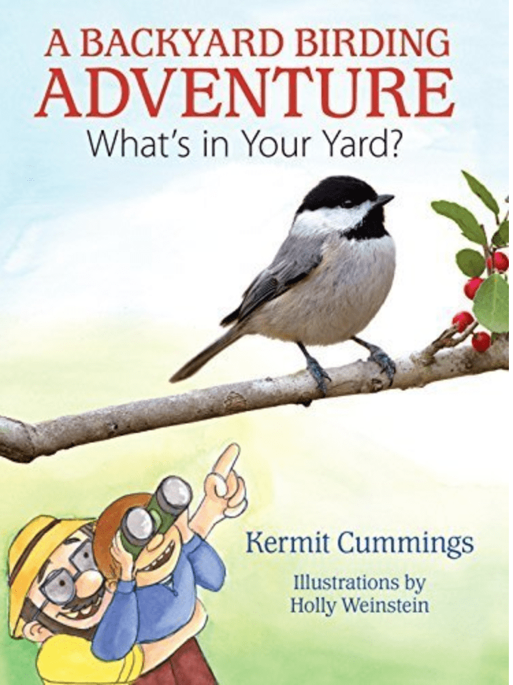 A Backyard Birding Adventure