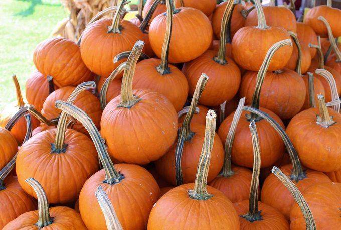 pumpkins