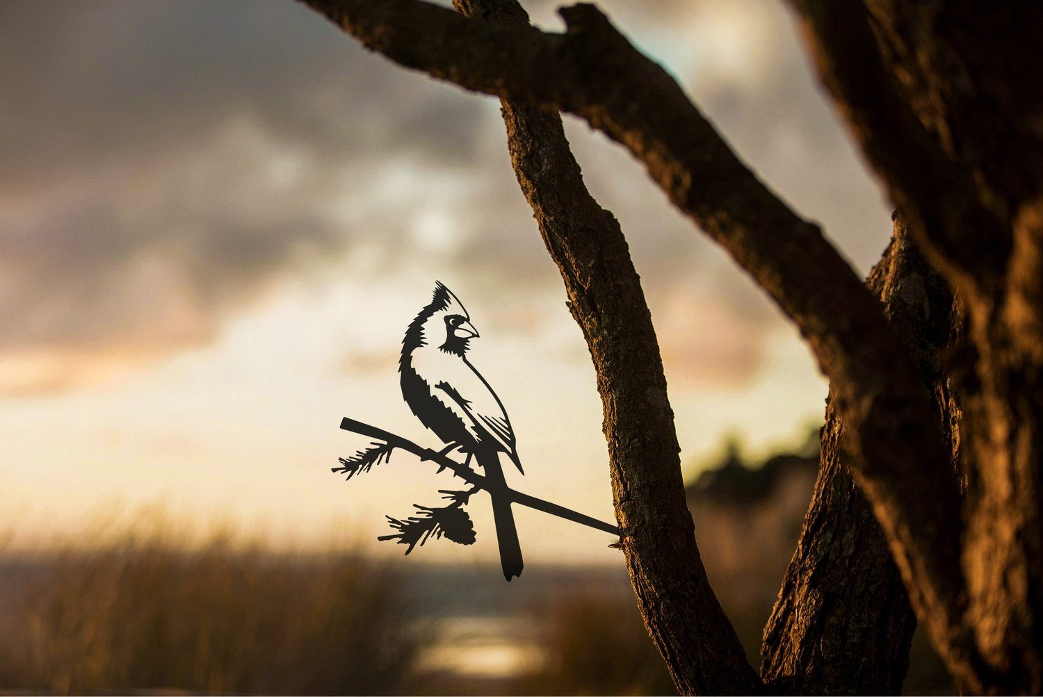 A metal cardinal silhouette attached to a tree.